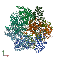 PDB entry 6ut8 coloured by chain, front view.