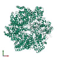 AAA+ ATPase domain-containing protein in PDB entry 6ut8, assembly 1, front view.