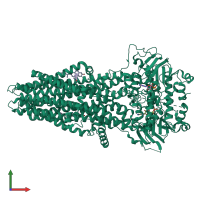 PDB entry 6uy0 coloured by chain, front view.