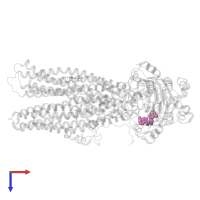 ADENOSINE-5'-DIPHOSPHATE in PDB entry 6uy0, assembly 1, top view.