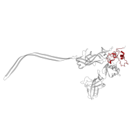 The deposited structure of PDB entry 6uzd contains 7 copies of Pfam domain PF03495 (Clostridial binary toxin B/anthrax toxin PA Ca-binding domain) in Protective antigen. Showing 1 copy in chain A.