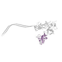 The deposited structure of PDB entry 6uzd contains 7 copies of Pfam domain PF20835 (Anthrax protective antigen, immunoglobulin-like domain) in Protective antigen. Showing 1 copy in chain A.
