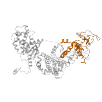 The deposited structure of PDB entry 6uzd contains 2 copies of Pfam domain PF03497 (Anthrax toxin LF subunit) in Calmodulin-sensitive adenylate cyclase. Showing 1 copy in chain H.