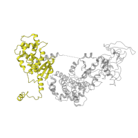 The deposited structure of PDB entry 6uzd contains 2 copies of Pfam domain PF07737 (Anthrax toxin lethal factor, N- and C-terminal domain) in Calmodulin-sensitive adenylate cyclase. Showing 1 copy in chain H.