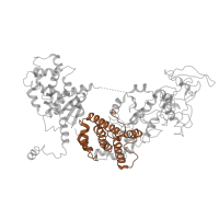 The deposited structure of PDB entry 6uzd contains 2 copies of Pfam domain PF20850 (Oedema factor (EF), alpha-helical domain) in Calmodulin-sensitive adenylate cyclase. Showing 1 copy in chain H.