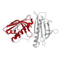 The deposited structure of PDB entry 6v04 contains 1 copy of Pfam domain PF08327 (Activator of Hsp90 ATPase homolog 1-like protein) in Activator of Hsp90 ATPase homologue 1-like C-terminal domain-containing protein. Showing 1 copy in chain A.