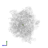 Modified residue 5MU in PDB entry 6v3b, assembly 1, side view.