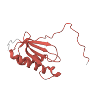 The deposited structure of PDB entry 6v3e contains 1 copy of Pfam domain PF00411 (Ribosomal protein S11) in Small ribosomal subunit protein uS11. Showing 1 copy in chain K [auth k].