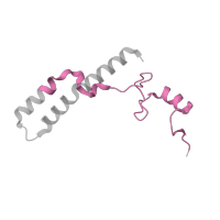 The deposited structure of PDB entry 6v3e contains 1 copy of Pfam domain PF00253 (Ribosomal protein S14p/S29e) in Small ribosomal subunit protein uS14. Showing 1 copy in chain N [auth n].