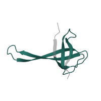 The deposited structure of PDB entry 6v3e contains 1 copy of Pfam domain PF00366 (Ribosomal protein S17) in Small ribosomal subunit protein uS17. Showing 1 copy in chain Q [auth q].