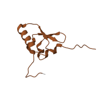 The deposited structure of PDB entry 6v3e contains 1 copy of Pfam domain PF00203 (Ribosomal protein S19) in Small ribosomal subunit protein uS19. Showing 1 copy in chain S [auth s].