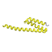 The deposited structure of PDB entry 6v3e contains 1 copy of Pfam domain PF01649 (Ribosomal protein S20) in Small ribosomal subunit protein bS20. Showing 1 copy in chain T [auth t].