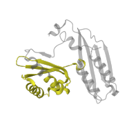 The deposited structure of PDB entry 6v3e contains 1 copy of Pfam domain PF07650 (KH domain) in Small ribosomal subunit protein uS3. Showing 1 copy in chain C [auth c].