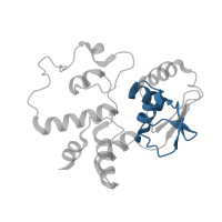 The deposited structure of PDB entry 6v3e contains 1 copy of Pfam domain PF01479 (S4 domain) in Small ribosomal subunit protein uS4. Showing 1 copy in chain D [auth d].
