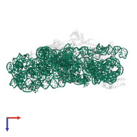 16s Ribosomal RNA in PDB entry 6v3e, assembly 1, top view.