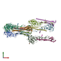 PDB entry 6v48 coloured by chain, front view.