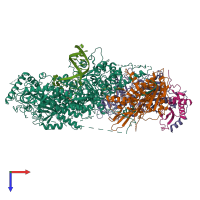 Hetero heptameric assembly 1 of PDB entry 6v93 coloured by chemically distinct molecules, top view.