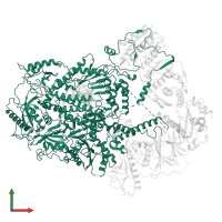 DNA polymerase zeta catalytic subunit in PDB entry 6v93, assembly 1, front view.