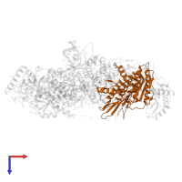 DNA polymerase zeta processivity subunit in PDB entry 6v93, assembly 1, top view.