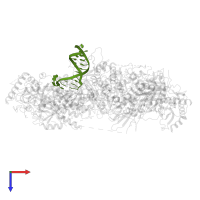 DNA in PDB entry 6v93, assembly 1, top view.