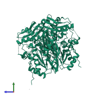 S-adenosylmethionine synthase in PDB entry 6vcw, assembly 1, side view.