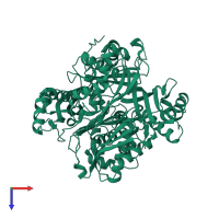 S-adenosylmethionine synthase in PDB entry 6vcw, assembly 1, top view.