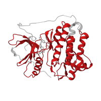 The deposited structure of PDB entry 6vhp contains 1 copy of Pfam domain PF07714 (Protein tyrosine and serine/threonine kinase) in Epidermal growth factor receptor. Showing 1 copy in chain A.