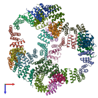 PDB entry 6vl6 coloured by chain, top view.