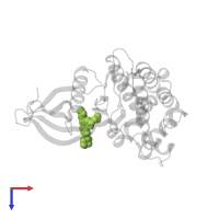 4-[1-(but-3-en-1-yl)-1H-pyrazol-4-yl]-N-[4-(piperidin-4-yl)phenyl]-7H-pyrrolo[2,3-d]pyrimidin-2-amine in PDB entry 6vnm, assembly 1, top view.