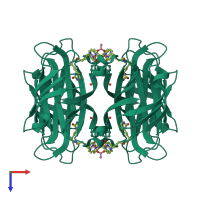 Homo tetrameric assembly 1 of PDB entry 6vp3 coloured by chemically distinct molecules, top view.