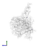 ZINC ION in PDB entry 6vvz, assembly 1, side view.