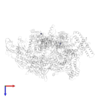 ZINC ION in PDB entry 6vvz, assembly 1, top view.