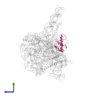 DNA-directed RNA polymerase subunit omega in PDB entry 6vvz, assembly 1, side view.