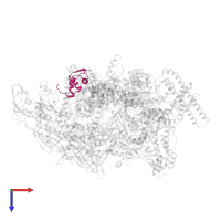 DNA-directed RNA polymerase subunit omega in PDB entry 6vvz, assembly 1, top view.