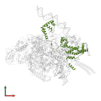 RNA polymerase sigma factor SigA in PDB entry 6vvz, assembly 1, front view.