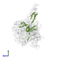 RNA polymerase sigma factor SigA in PDB entry 6vvz, assembly 1, side view.