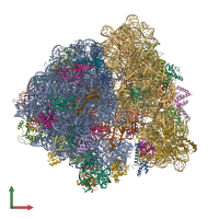 PDB entry 6vwn coloured by chain, front view.