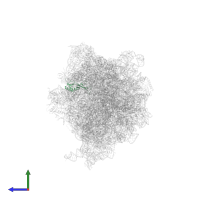 Large ribosomal subunit protein uL16 in PDB entry 6vyx, assembly 1, side view.