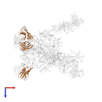 35O22 scFv heavy chain in PDB entry 6vzi, assembly 1, top view.