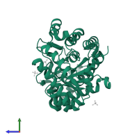 Uroporphyrinogen decarboxylase in PDB entry 6w2o, assembly 1, side view.