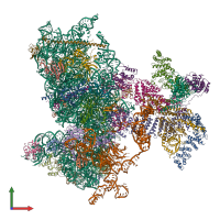 Hetero 43-meric assembly 1 of PDB entry 6w2s coloured by chemically distinct molecules, front view.