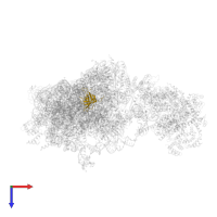 Small ribosomal subunit protein uS17 in PDB entry 6w2s, assembly 1, top view.