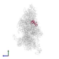 Small ribosomal subunit protein uS15 in PDB entry 6w2s, assembly 1, side view.