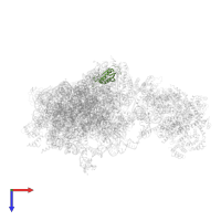 Small ribosomal subunit protein uS11 in PDB entry 6w2s, assembly 1, top view.