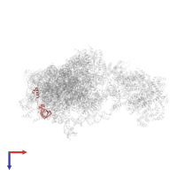 40S ribosomal protein S24 in PDB entry 6w2s, assembly 1, top view.