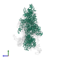 18S Ribosomal RNA in PDB entry 6w2s, assembly 1, side view.