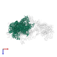 18S Ribosomal RNA in PDB entry 6w2s, assembly 1, top view.