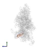 Small ribosomal subunit protein uS10 in PDB entry 6w2s, assembly 1, side view.