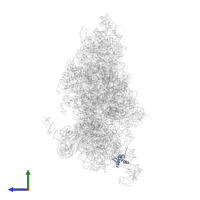 Small ribosomal subunit protein eS25 in PDB entry 6w2s, assembly 1, side view.