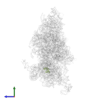 Small ribosomal subunit protein uS14 in PDB entry 6w2s, assembly 1, side view.